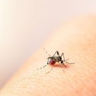 El MSP implementa medidas para contener la epidemia.