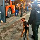 Martín, el perro policía fue clave en el operativo para encontrar el alcaloide.