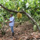 Agro. Uno de los trabajadores de la finca El Samán, en Mata de Cacao.