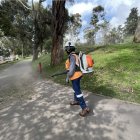 Servidores de la Epmmop realizan trabajos de limpieza y mantenimiento de parques.