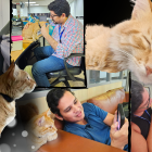 El Colorado fue adoptado por las redacciones de EXPRESO y EXTRA. Lamentablemente su paso por la vida fue cortito.