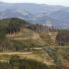 Archivo. Bosque de Urdabai, en Vizcaya, en el norte de España.