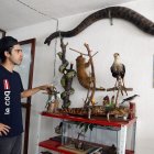 El taxidermista Miguel Vargas muestra varios animales disecados en su estudio