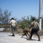 Integrantes de la fiscalía estatal acompañados de binomios caninos trabajan este jueves en la zona donde se localizaron cinco restos humanos en el municipio de Pesquería (México).