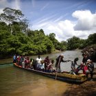 Cientos de migrantes se han aventurado por esta selva en lo que va del 2024.