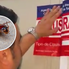 El lugar fue clausurado luego de constatar la presencia de cucarachas en varios espacios de almacenamiento de alimentos