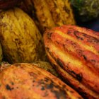 El precio del cacao no ha dejado de subir por problemas en los productores africanos.