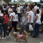 Los caninos acompañaron a sus dueños en este día religioso