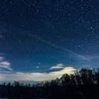 La exposición estará abierta hasta el 5 de mayo