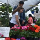 En toda la parroquia de Nayón existen más de 300 negocios de este tipo que cuentan con una gran variedad de especies de plantas decorativas y medicinales