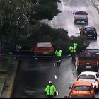 El árbol cayó sobre un vehículo en la Av. Los Shyris y Telégrafo