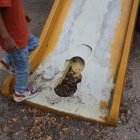 Una resbaladera con daños imposibilita que niños la utilicen. Esta estructura está ubicada en el parque El Cigarro, en Mirtos entre Ficus y Las Monjas.