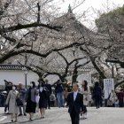 Las olas de calor ponen en riesgo la apertura de los capullos.