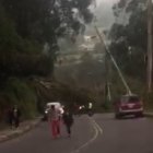 La caída de un árbol provocó el cierre de la vía a Guangopolo, en el valle de Los Chillos.
