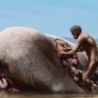 Las marcas de corte más antiguas de Europa sobre restos de elefante halladas en los yacimientos de Orce