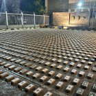 Este 8 de abril de 2024 de dos toneladas de cocaína fueron incautadas de un cargamento de cacao en Cartagena (Colombia).