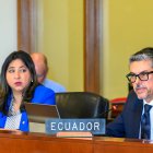 El vicecanciller, Alejandro Dávalos, planteó ante la OEA la actualización de las normas sobre asilo diplomático, tras el impasse con México.