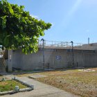 La planta se quemó.