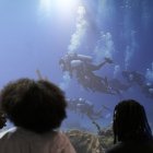 Varios visitantes en uno de los stands durante la segunda jornada de la Conferencia del Decenio de los Océanos de la Unesco en Barcelona.