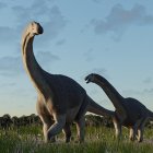 Fotografía cedida por el Consejo Nacional de Investigaciones Científicas y Técnicas (Conicet) de una reproducción 3D del "titanomachya gimenezi" .