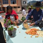 Acto. La producción de cebollas, papas y maíz prevalece en las familias.