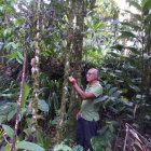 Estudio. Omar investiga constantemente sus plantas, flores y los nuevos insectos.