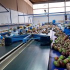 Empresa.- Una de las compañías que exporta el mango ecuatoriano.