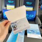 Bark Air es la primera aerolínea exclusiva para perros.