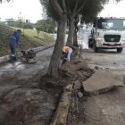 Adultos mayores son los usuarios más frecuentes del parque Dammer 1. En este sitio se mejorarán las caminerías y se colocarán juegos biosaludables.