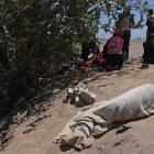 MEX6109. CIUDAD JUÁREZ (MÉXICO), 28/04/2024.- Migrantes permanecen entre la frontera con Estados Unidos, el 27 de abril de 2024, en Ciudad Juárez, estado de Chihuahua (México). Migrantes que han logrado llegar al río Bravo, la frontera entre la mexicana Ciudad Juárez y El Paso, Texas, aseguran temer al crimen organizado luego de la masacre de 9 personas esta semana y que, según las autoridades, podría haber sido perpetrada por traficantes de personas. EFE/Luis Torres