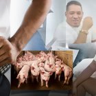 El hijo de Junior Roldán levantó dos empresas desde el 2021, que no han tenido mayor actividad, según los documentos.