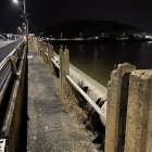 Los pasamanos de la estructura están destruidos en gran parte del tramo.