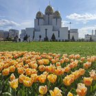 Los tulipanes comienzan a florecer, mientras la presión de la invasión a gran escala  se cobra su precio psicológico.