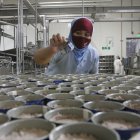 Nirsa ha presentado un portafolio de productos renovado para ingresar a nuevos nichos.