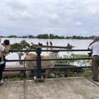 El inicio del malecón tiene basura acumulada y hay vacas que se desplazan por el sitio.