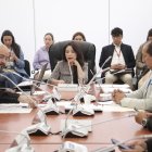 Pamela Aguirre dirigió la sesión, en la que se receptaron pruebas y textimonios en el trámite de juicio político contra el exministro Juan Zapata.