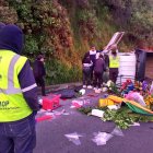 Producto del siniestro un cargamento de flores quedaron esparcidos sobre la vía.