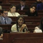 Fiscal Diana Salazar en sesión.