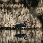 El estudio desarrolla una nueva formulación de coeficiente de arrastre