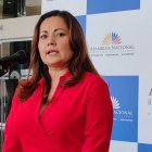 Castillo es miembro del CAL y dará su voto para conformar la comisión multipartidista