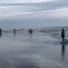 En las costas de Esmeraldas, un fenómeno natural se repite anualmente, marcando el compás de la vida y la cultura local, la captura de chautiza