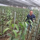 Ismael Ballas ha creado un invernadero de vainilla en Mata de Cacao, en la provincia de Los Ríos.