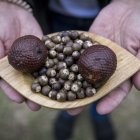 Fruto. La cosecha silvestre y procesamiento del asaí, un fruto amazónico considerado un ´súper alimento´.
