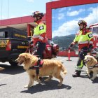 Los canes recibieron sus medallas por su trabajo