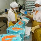 La industria camaronera registra menos ingresos en este 2024.