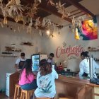 A lso clientes les ofrecen en vez de una cola, una bebida hec acon maíz y otras plantas medicinales