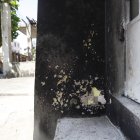 AMENAZA DE BOMBA EN UNA VIVIENDA DEL CENTRO DE LA CIUDAD, 23 DE MAYO DEL 2024- AMELIA ANDRADE Guayaquil-Ecuador Agencia (Ag-ecpreso)