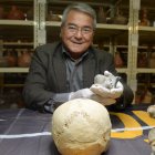 Los cráneos, también, llamaban la atención por sus diferentes tratamientos con medicina natural