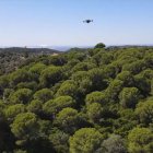 En el mundo actual, "las tecnologías geoespaciales o la geoinformática emergen como herramientas fundamentales"