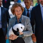 La reina Sofía asistió al recibimiento de los osos panda Jin Xi (macho) y Zhu Yu (hembra) en el zoológico de Madrid.